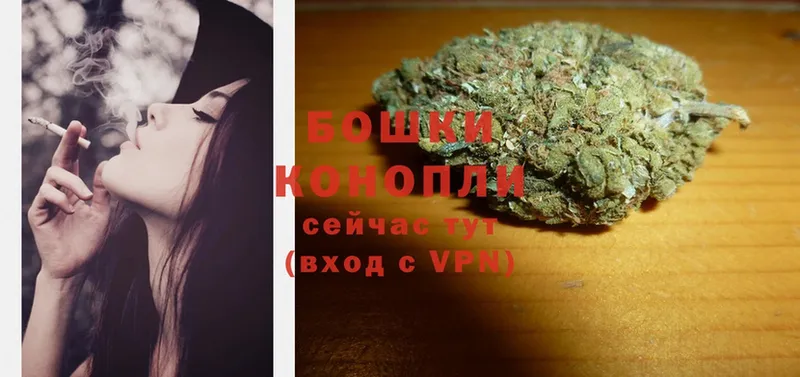 Канабис White Widow  Дятьково 